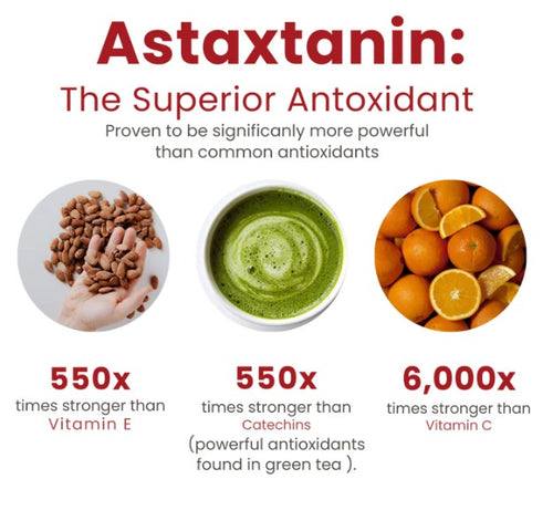 Daily Dose Astaxanthin